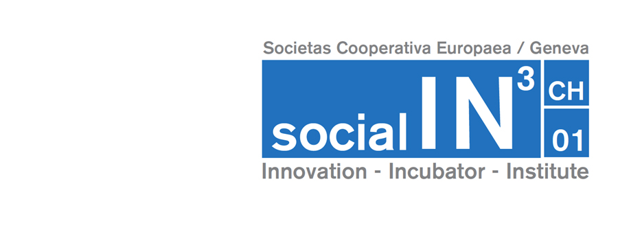 FP7 – Network of IN3 Social Innovation Incubators / Research
